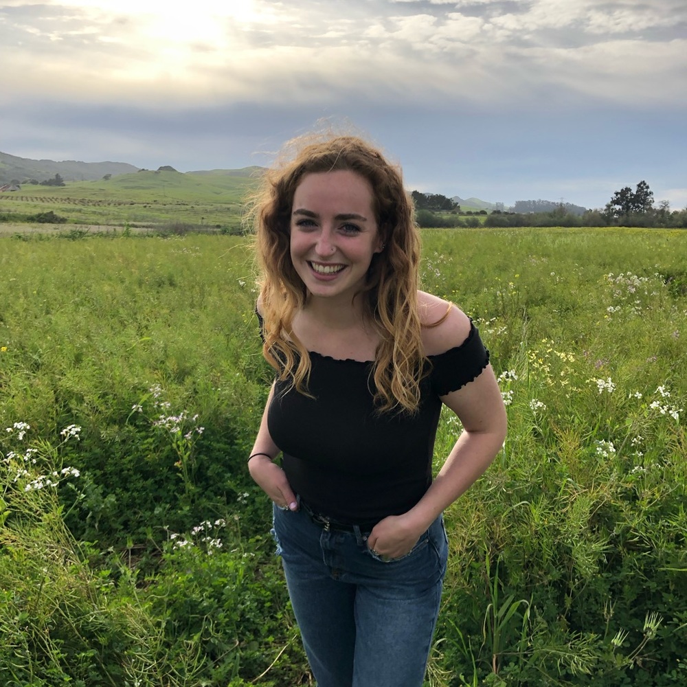 Meet your Posher, Darcie